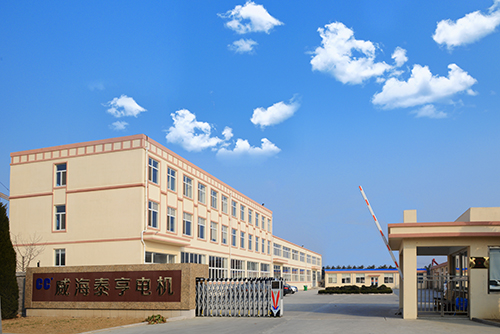 威海市泰亨电机有限公司
